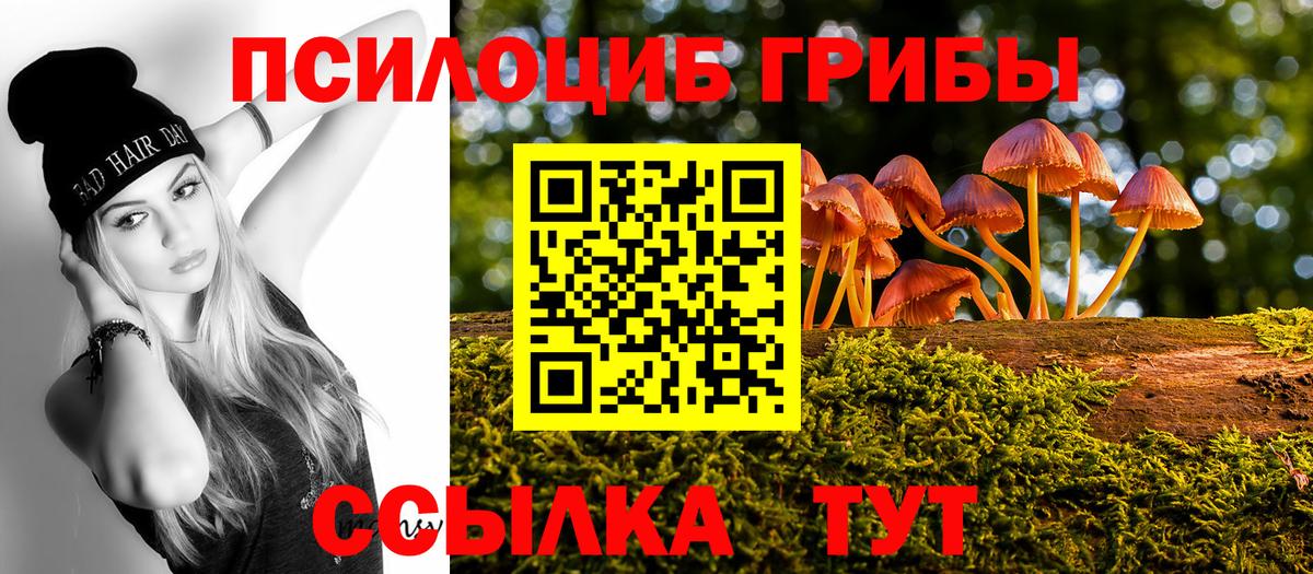 Галлюциногенные грибы Psilocybine cubensis Батайск