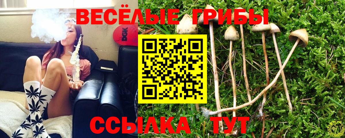 Галлюциногенные грибы Cubensis  Вход с VPN  Батайск 